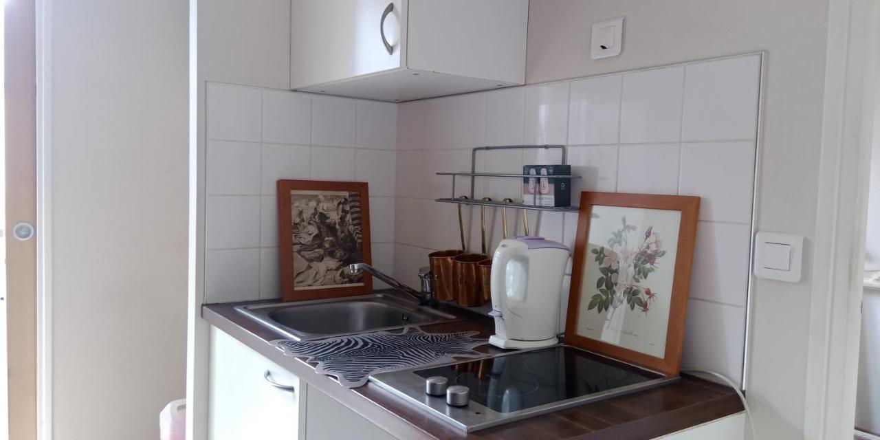 Paris Authentic House Small, Bright And Calm Studio Dış mekan fotoğraf